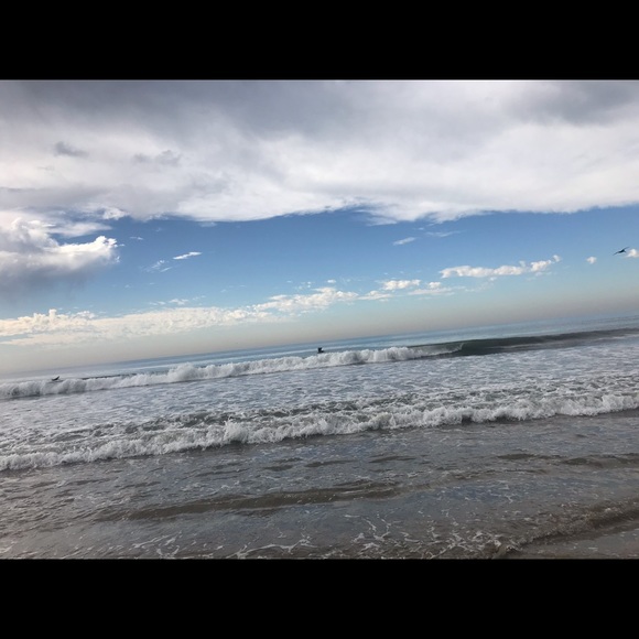 Meet your Posher, Posh - Picture 2 of 3